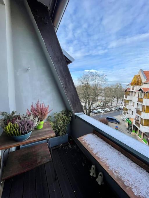 Apartament Przy Parku Z Bezplatnym Parkingiem Torun Bagian luar foto